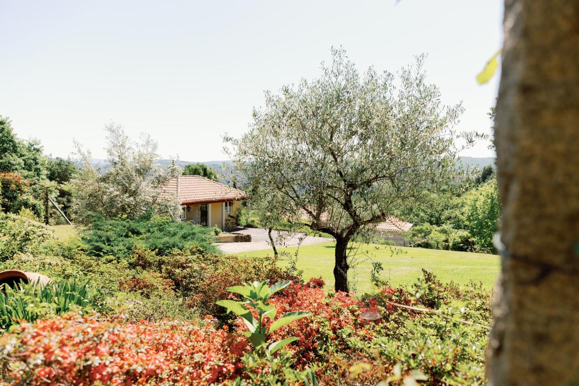 The Fox House - Private Villa & Nature São Pedro do Sul Exterior foto